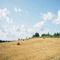 an open field with hay bales