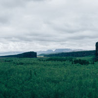 a view above the forest with mountains in the background