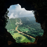 looking through a tunnel to a high view of a forest
